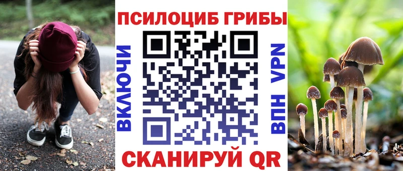 Галлюциногенные грибы GOLDEN TEACHER  наркошоп  Киренск 
